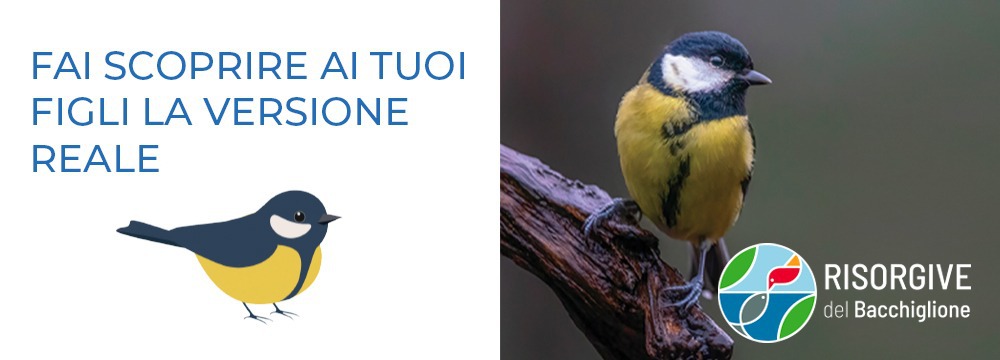 Alle Risorgive del Bacchiglione "Fai scoprire ai t