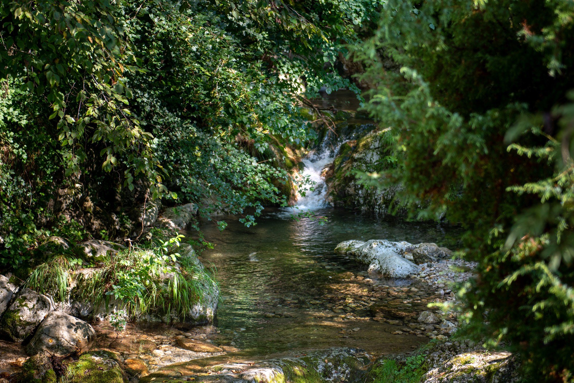 Dove viene prelevata l’acqua che arriva al rubinet