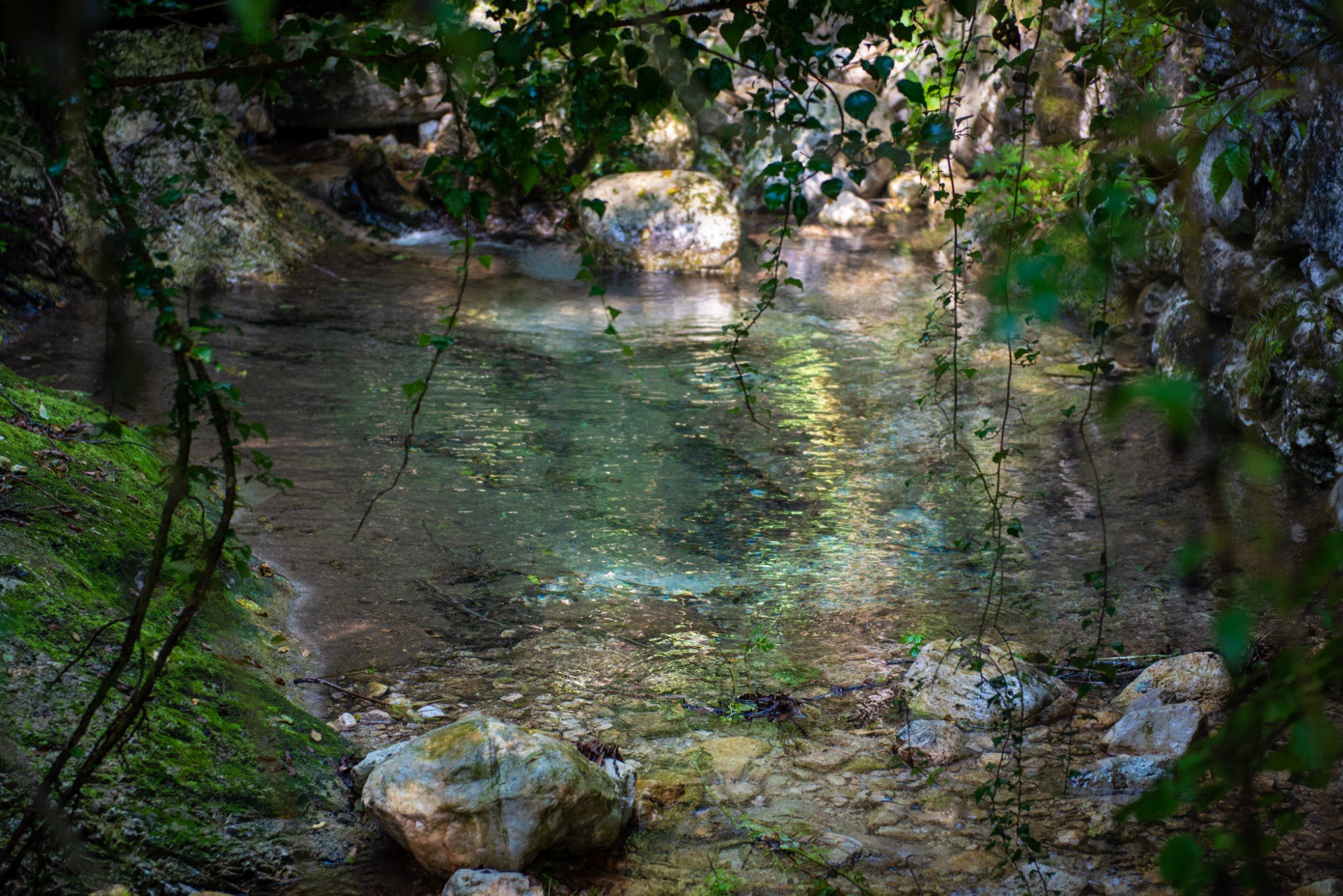 Viacqua presenta ai Comuni di Caltrano e Calvene i