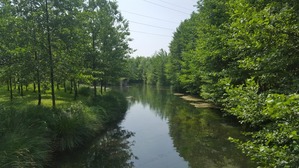 "Bentornata primavera" - Riaprono le Risorgive del