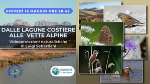 Risorgive - Giovedì un viaggio nella natura con i VIACQUA_locandina_5487_1.jpg (Art. corrente, Pag. 1, Foto normale)